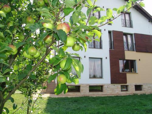 Hostal Guesthouse Stupina