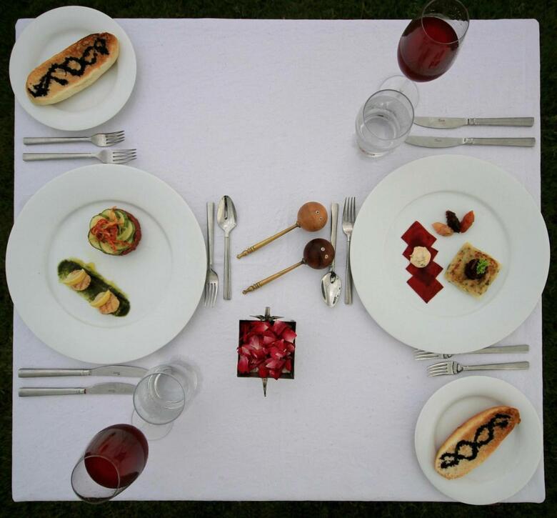 Hotel Tree Of Life Resort & Spa, Jaipur
