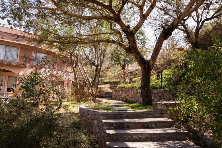 Hotel Tree Of Life Resort & Spa, Jaipur