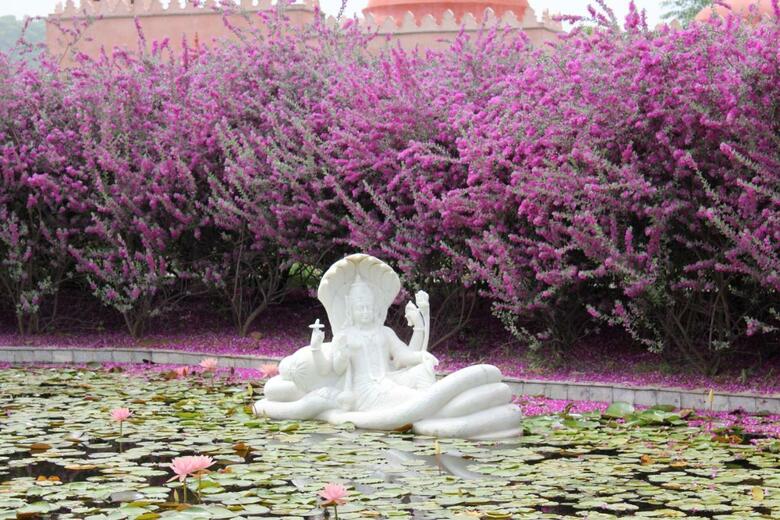 Hotel Tree Of Life Resort & Spa, Jaipur