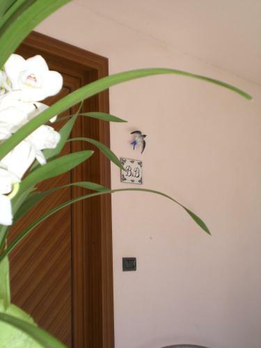B&B Rondinella