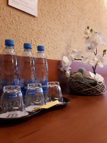 Motel Arkadia