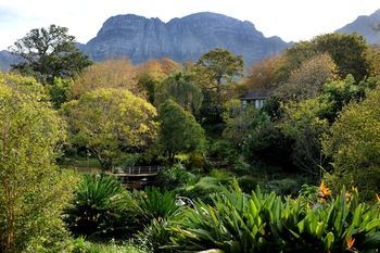 Vineyard Hotel