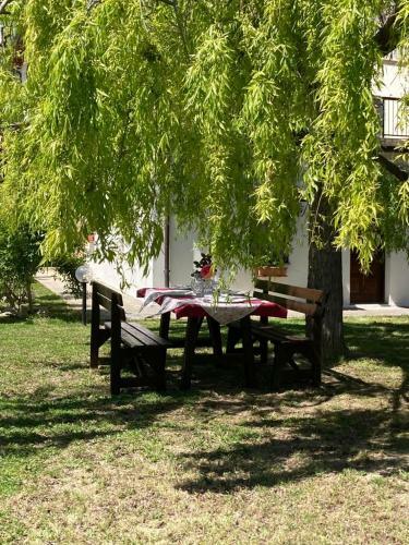 Agroturismo Agriturismo Bio Il Portico