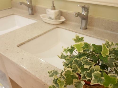 Taipei Backpackers Hostel - C