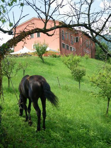 Hotel Locanda Valbella