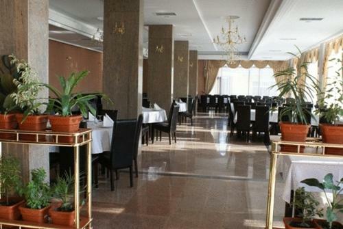 Hotel Flora