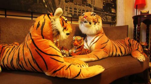 Taipei Triple Tiger Hostel