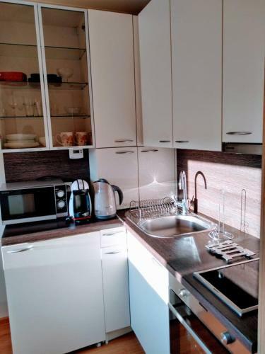 Apartamento Skandinavija Forest