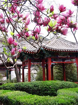 Xiyuan Hotel