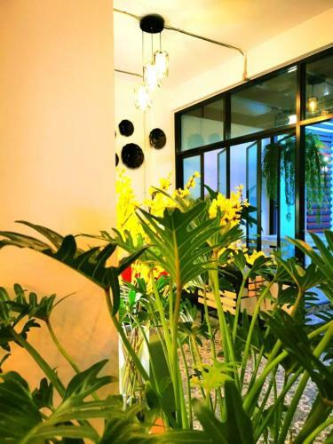 Apartamentos Beach Gallery House