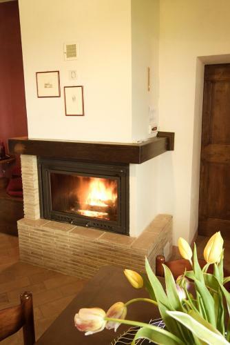B&B Cal Torello