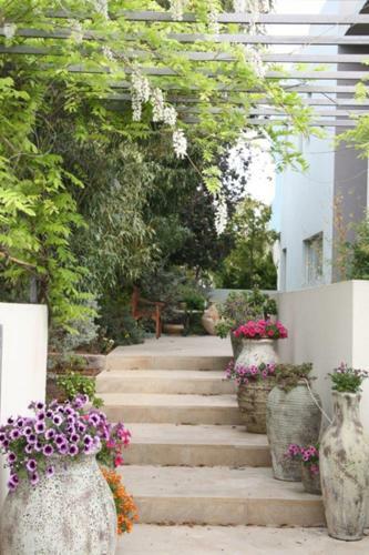 Villa Alice Caesarea