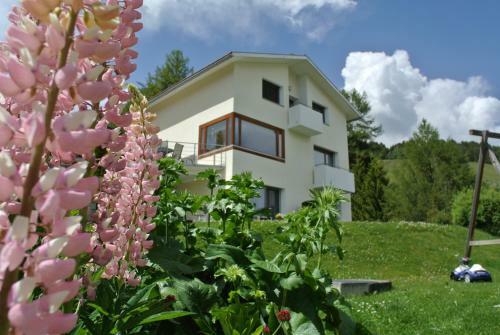 Hostal Ustria / Pensiun Trutg