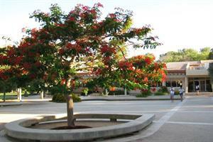 Hotel Mashabei Sade Kibbutz Country Lodging