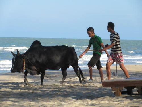 Hotel Ao Thai Resort