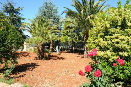 Bed & Breakfast Quercia Verde