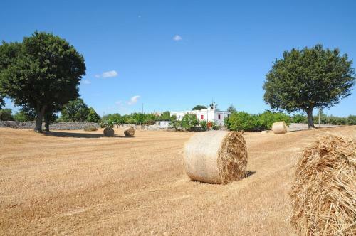 Bed & Breakfast Quercia Verde