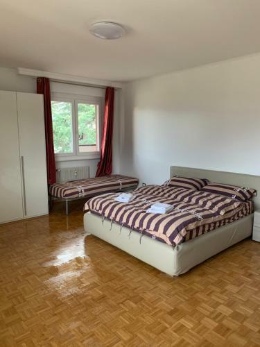 Apartment Vittorio Veneto