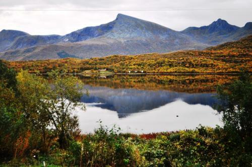 Midt I Lofoten