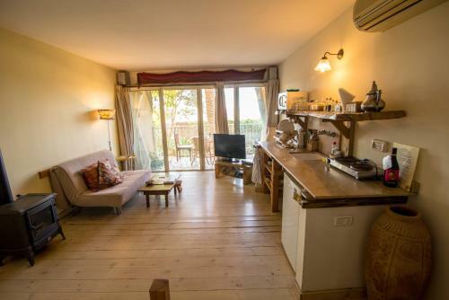 Lodge Desert Home