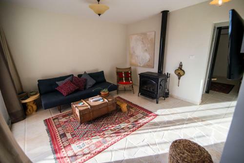 Lodge Desert Home