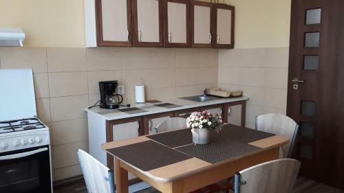 Hostal Villa Casa Ioana