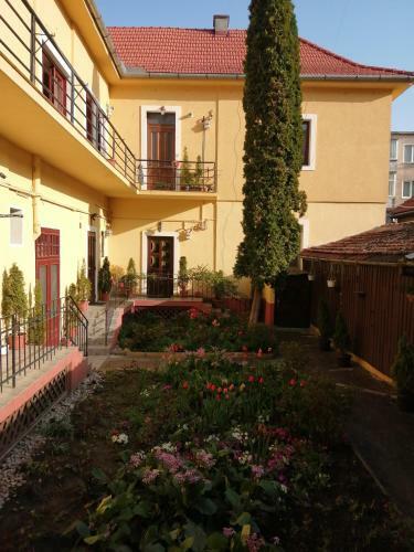 Hostal Villa Casa Ioana
