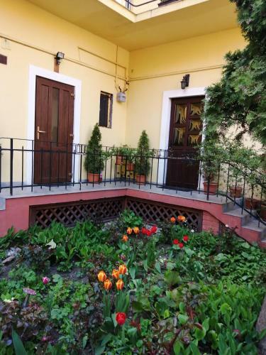 Hostal Villa Casa Ioana