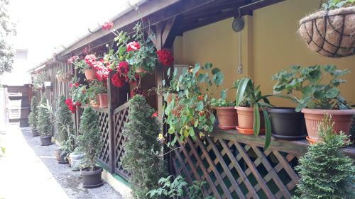 Hostal Villa Casa Ioana