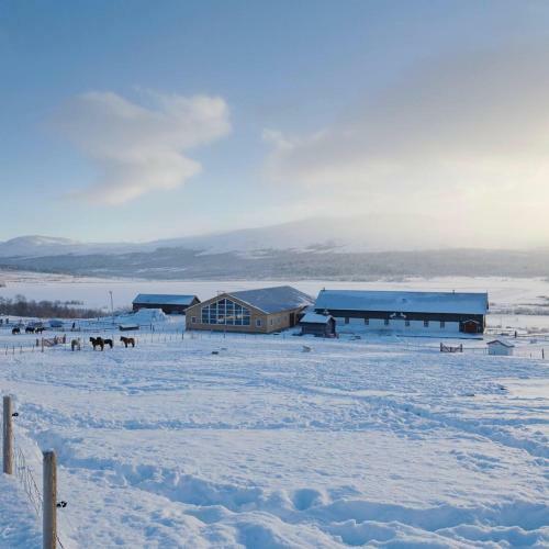 Hotel Hjerkinn Fjellstue