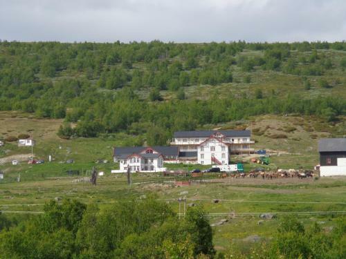 Hotel Hjerkinn Fjellstue
