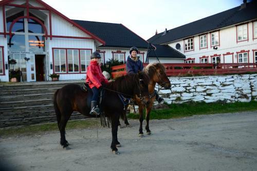 Hotel Hjerkinn Fjellstue