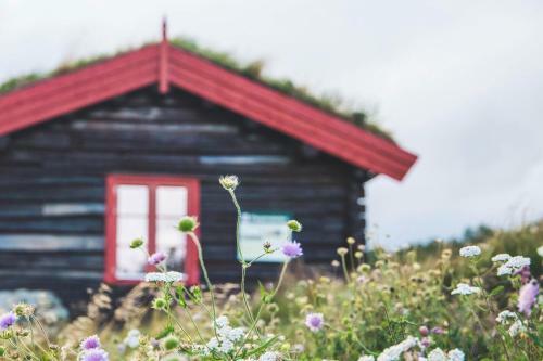 Hotel Hjerkinn Fjellstue