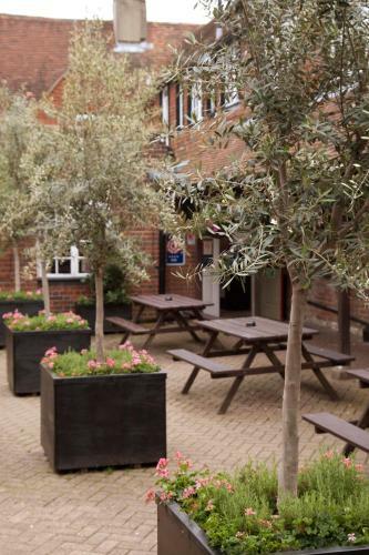 The Dog & Bear Hotel