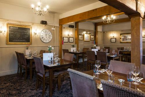 The Dog & Bear Hotel
