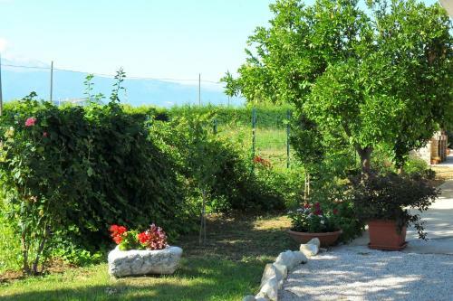 Agroturismo Domus Aurea