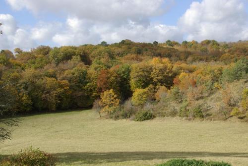 Hostal P�chalvet