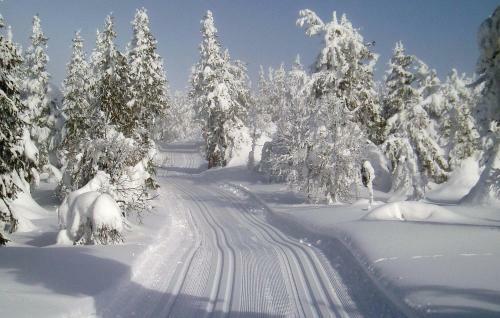 Holiday Home Lj�rdalen Holl�sen