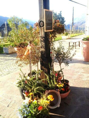 Hostal Hotel Pension Weingut
