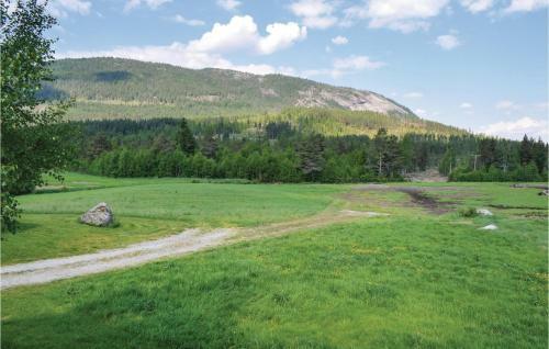 Holiday Home Fyresdal Hauggrend II