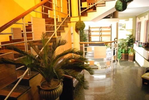 Hostel Lider