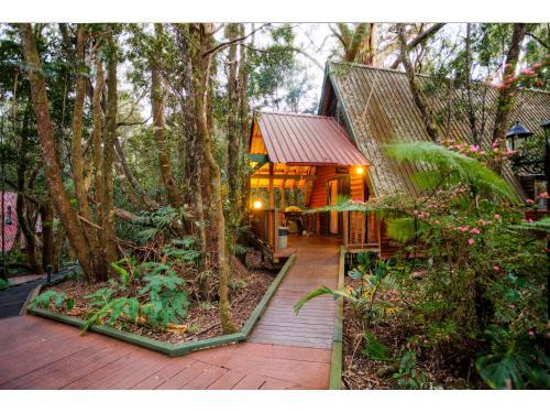 Lodge The Mouses House Rainforest Retreat
