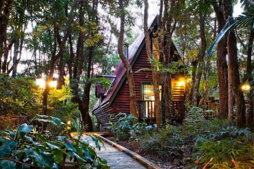 Lodge The Mouses House Rainforest Retreat