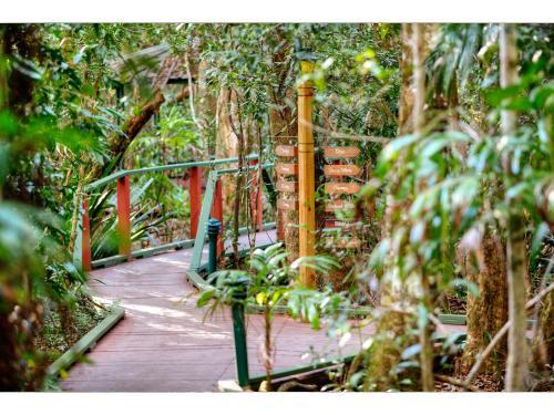 Lodge The Mouses House Rainforest Retreat