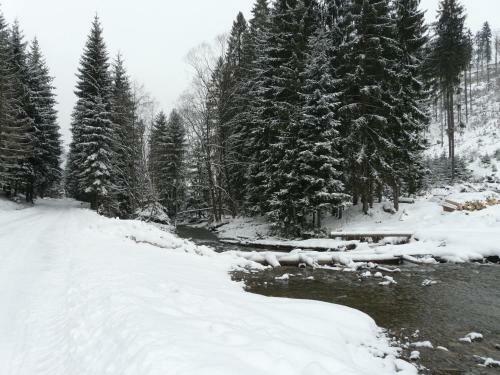 Dom W Beskidach