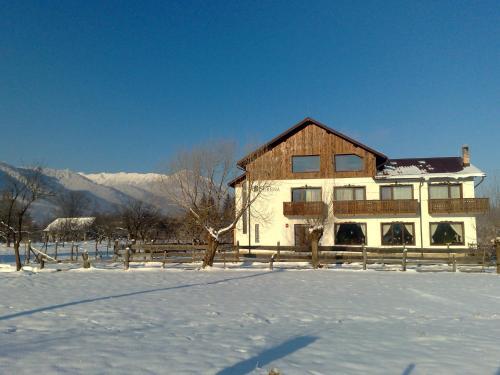 Hostal Serena Guesthouse Bran