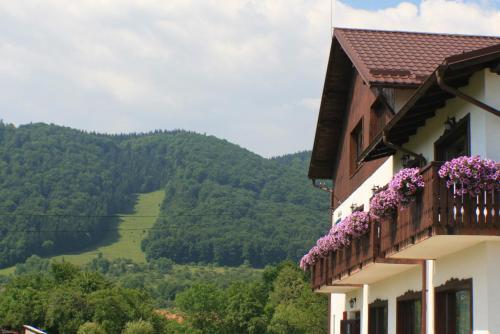 Hostal Serena Guesthouse Bran