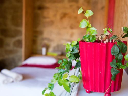 Hostal Laranjalim�o