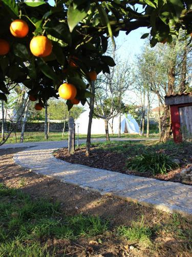 Hostal Laranjalim�o